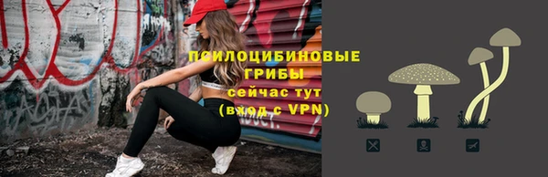 jwh Бородино