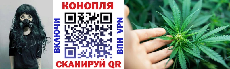 закладка  Козельск  Канабис конопля 